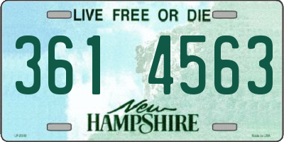 NH license plate 3614563