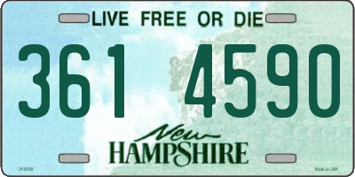 NH license plate 3614590