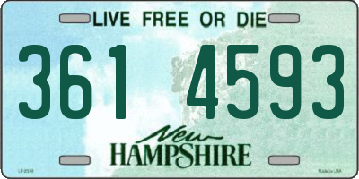 NH license plate 3614593
