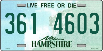NH license plate 3614603