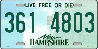 NH license plate 3614803