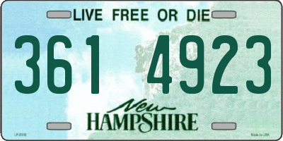NH license plate 3614923