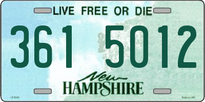 NH license plate 3615012
