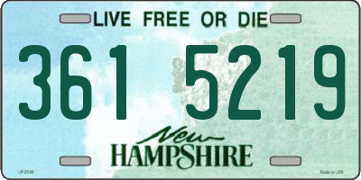 NH license plate 3615219