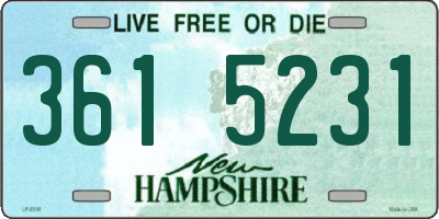 NH license plate 3615231