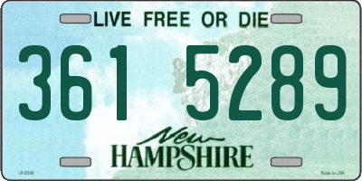 NH license plate 3615289