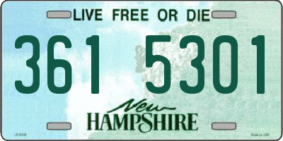 NH license plate 3615301