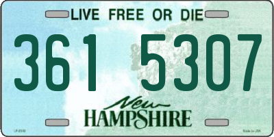 NH license plate 3615307