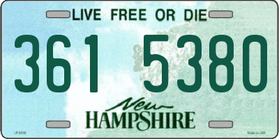 NH license plate 3615380