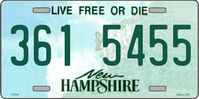 NH license plate 3615455
