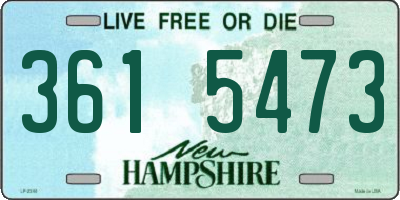 NH license plate 3615473