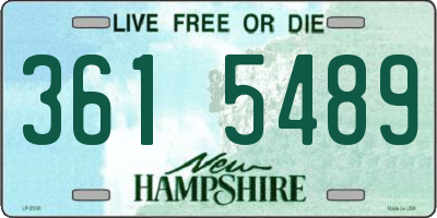 NH license plate 3615489