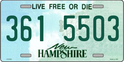 NH license plate 3615503