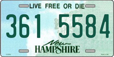 NH license plate 3615584