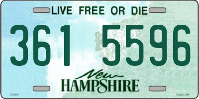 NH license plate 3615596
