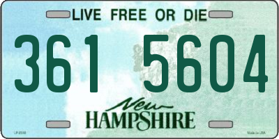 NH license plate 3615604