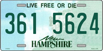 NH license plate 3615624