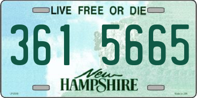 NH license plate 3615665