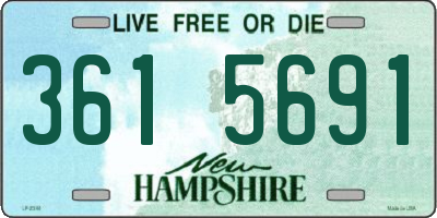 NH license plate 3615691
