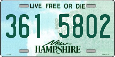 NH license plate 3615802