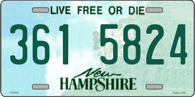 NH license plate 3615824