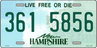 NH license plate 3615856
