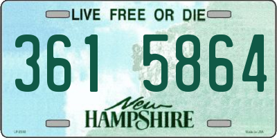 NH license plate 3615864