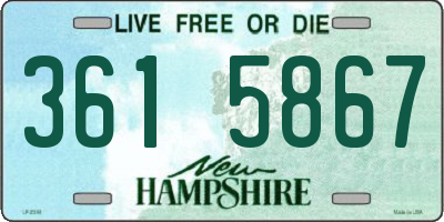 NH license plate 3615867