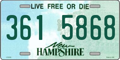 NH license plate 3615868