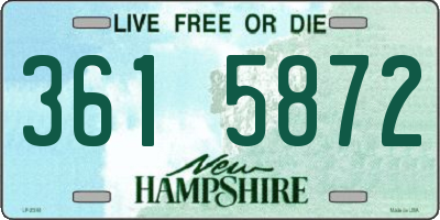 NH license plate 3615872