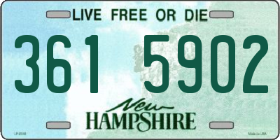 NH license plate 3615902