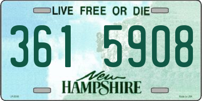 NH license plate 3615908