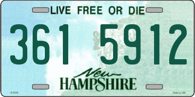 NH license plate 3615912