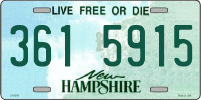 NH license plate 3615915