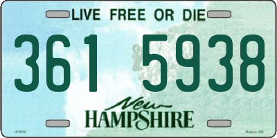 NH license plate 3615938