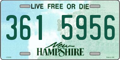 NH license plate 3615956
