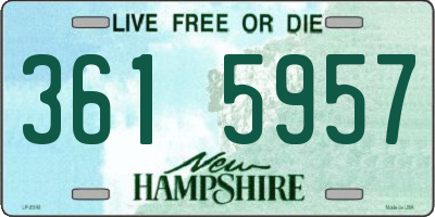 NH license plate 3615957