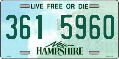 NH license plate 3615960