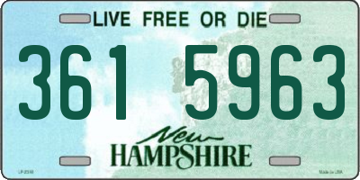 NH license plate 3615963