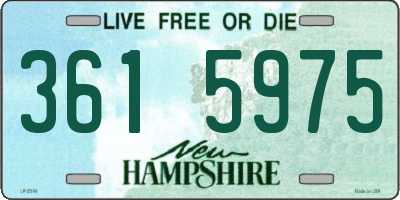 NH license plate 3615975