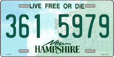 NH license plate 3615979
