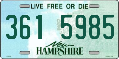 NH license plate 3615985