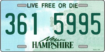 NH license plate 3615995