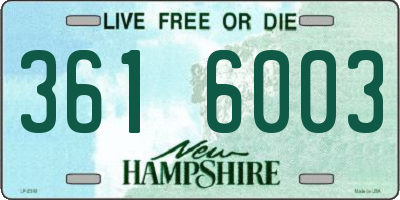 NH license plate 3616003