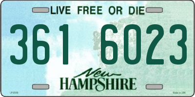 NH license plate 3616023