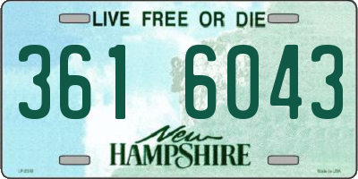 NH license plate 3616043