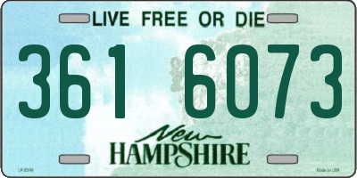 NH license plate 3616073