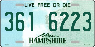 NH license plate 3616223