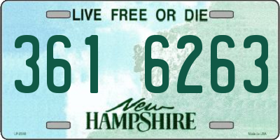 NH license plate 3616263
