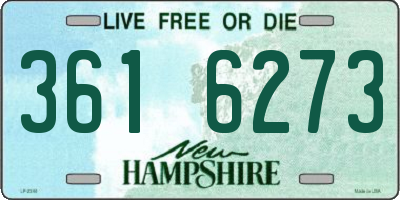NH license plate 3616273